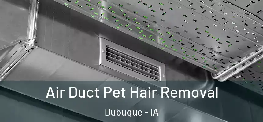 Air Duct Pet Hair Removal Dubuque - IA