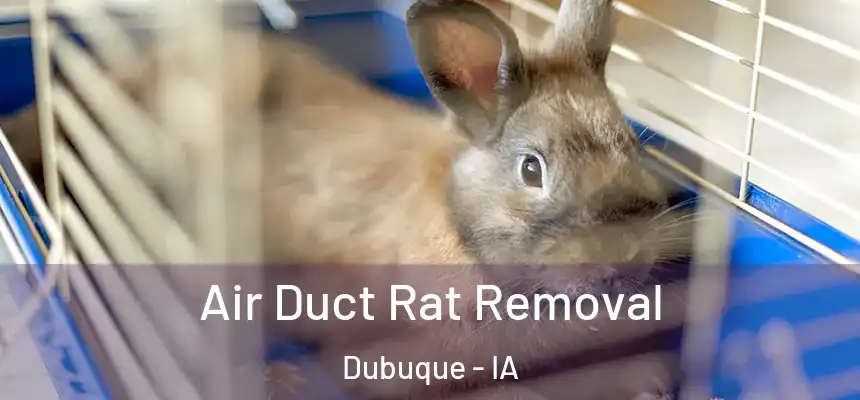 Air Duct Rat Removal Dubuque - IA