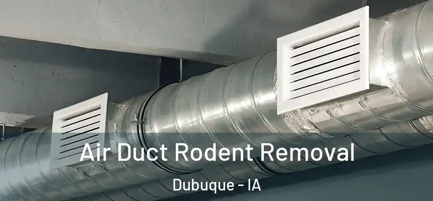  Air Duct Rodent Removal Dubuque - IA