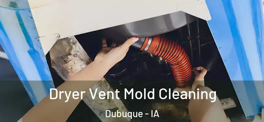 Dryer Vent Mold Cleaning Dubuque - IA