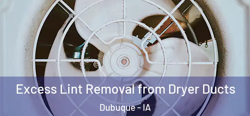 Excess Lint Removal from Dryer Ducts Dubuque - IA