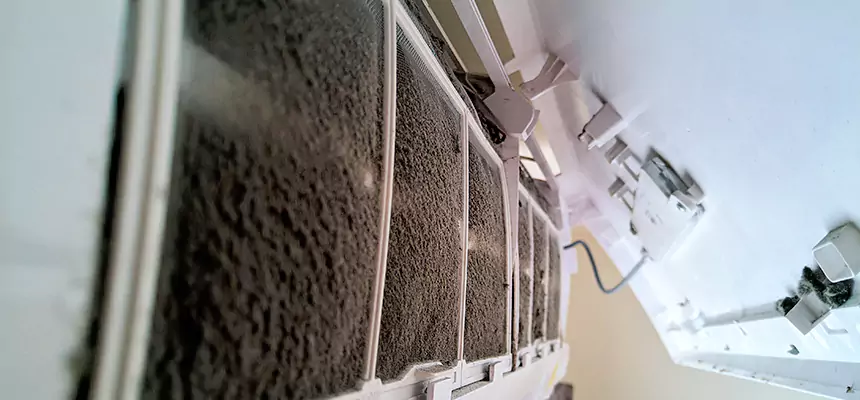 Preventive Air Duct Bacteria Removal in Dubuque