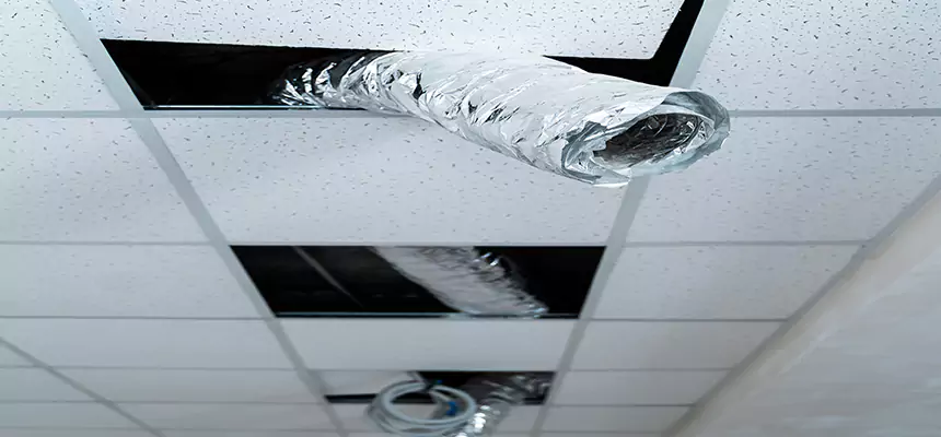 Our Air Duct Pet Hair Removal Services in Dubuque, IA