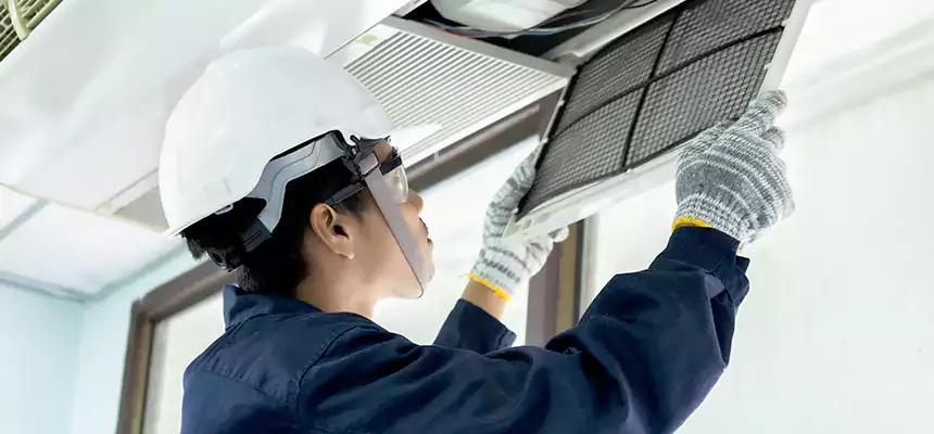 Our Mold & Mildew Removal from Air Ducts Services in Dubuque, IA