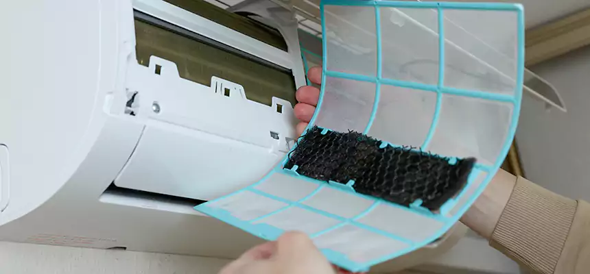 Gentle Ductwork Odor-Control Pet Dander Duct Cleaning in Dubuque, IA