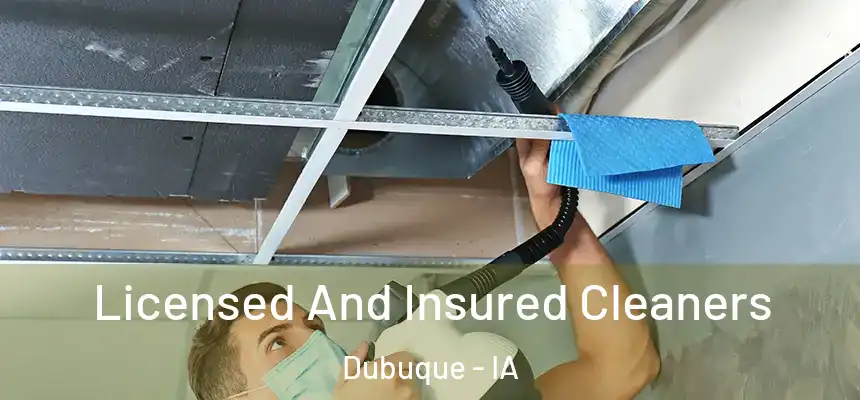 Licensed And Insured Cleaners Dubuque - IA