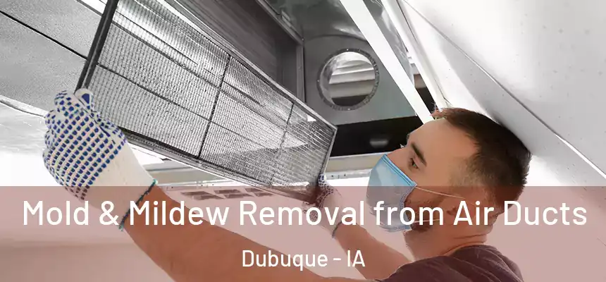  Mold & Mildew Removal from Air Ducts Dubuque - IA