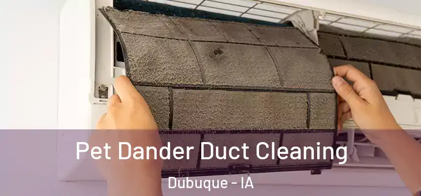  Pet Dander Duct Cleaning Dubuque - IA