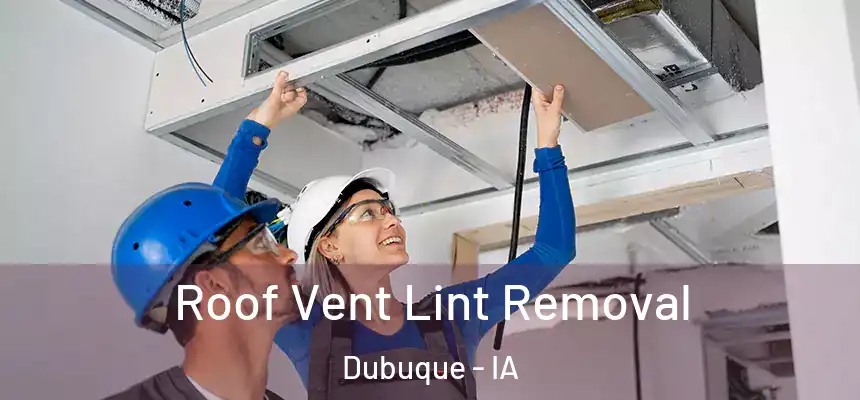 Roof Vent Lint Removal Dubuque - IA