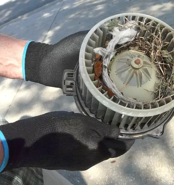 About Air Duct Rat Removal in Dubuque, IA