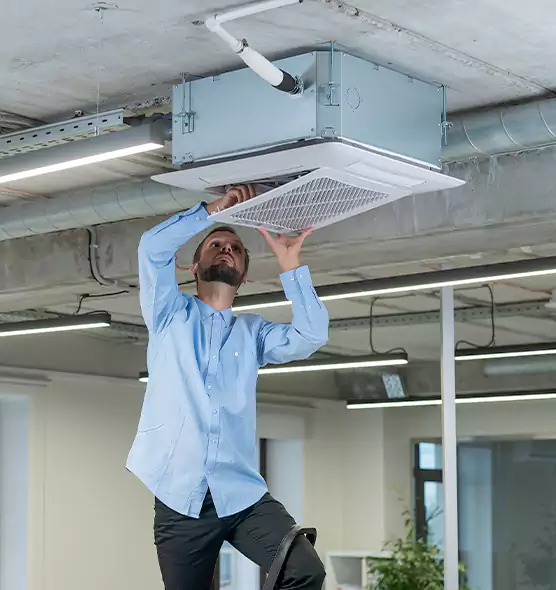 Advanced Rodent Droppings In Vents in Dubuque, IA