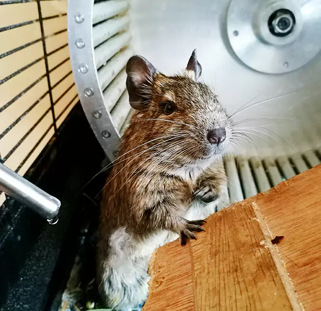 Why Homeowners & Businesses Trust Us Dubuque, IA